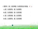 冀少版八年级生物上册第四单元第二节运动的完成课件