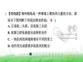 冀少版八年级生物上册第四单元第二节运动的完成课件