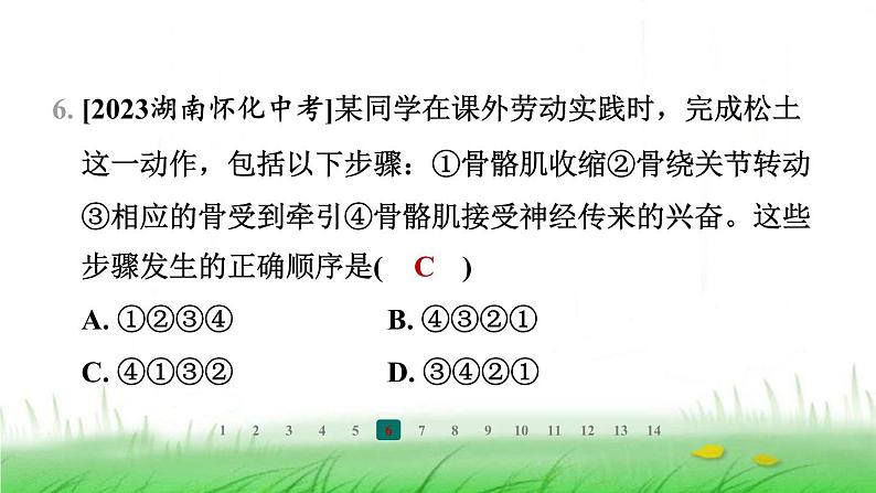 冀少版八年级生物上册第四单元第二节运动的完成课件第7页