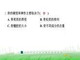 冀少版八年级生物上册第四单元第一节运动的基础课件