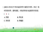 冀少版八年级生物上册第四单元第一节运动的基础课件