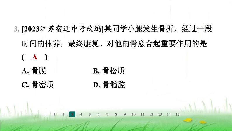 冀少版八年级生物上册第四单元第一节运动的基础课件04