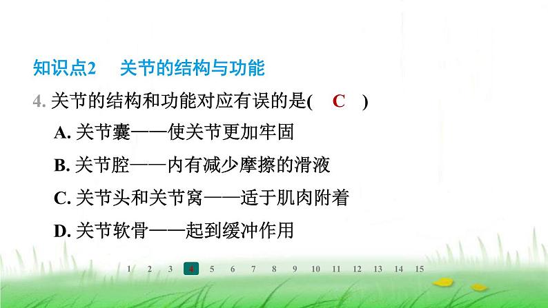 冀少版八年级生物上册第四单元第一节运动的基础课件05