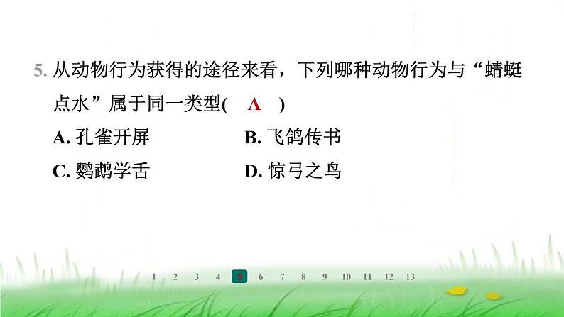 冀少版八年级生物上册第四单元第三节先天性行为和学习行为课件第6页