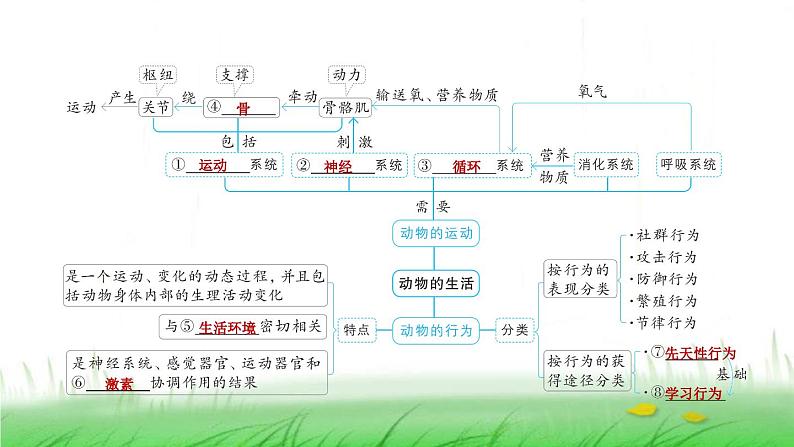 冀少版八年级生物上册第四单元复习提升课件第2页