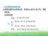 冀少版八年级生物上册第四单元复习提升课件
