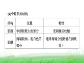 冀少版八年级生物上册第四单元复习提升课件