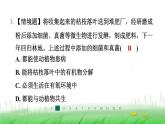 冀少版八年级生物上册第四章微生物在生物圈中的作用课件