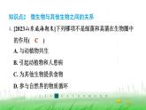 冀少版八年级生物上册第四章微生物在生物圈中的作用课件