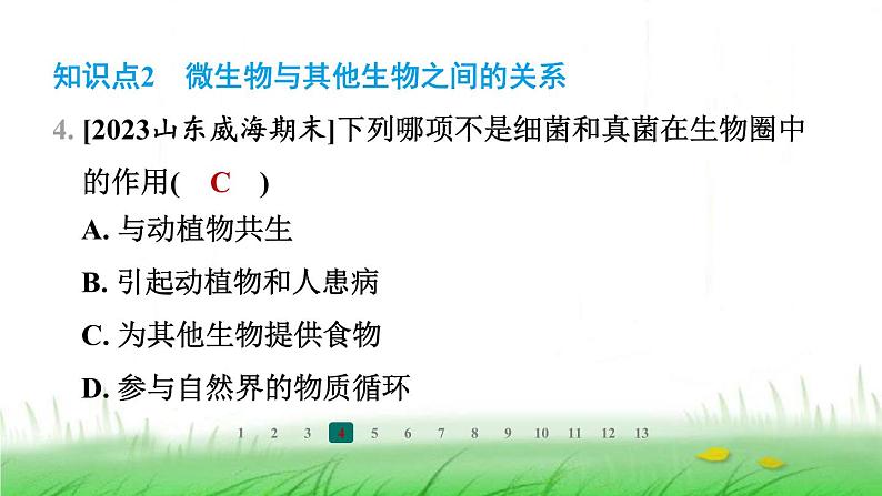 冀少版八年级生物上册第四章微生物在生物圈中的作用课件05