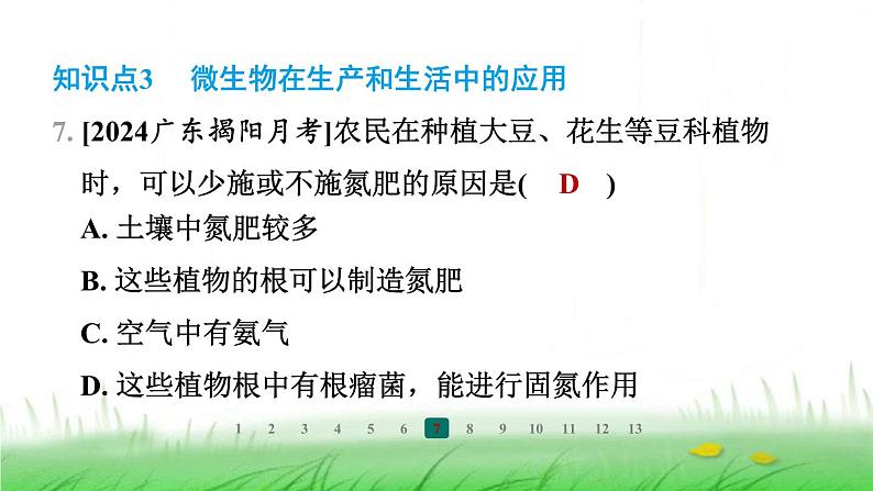 冀少版八年级生物上册第四章微生物在生物圈中的作用课件08