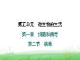 冀少版八年级生物上册第五单元第二节病毒课件