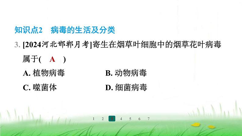 冀少版八年级生物上册第五单元第二节病毒课件第4页