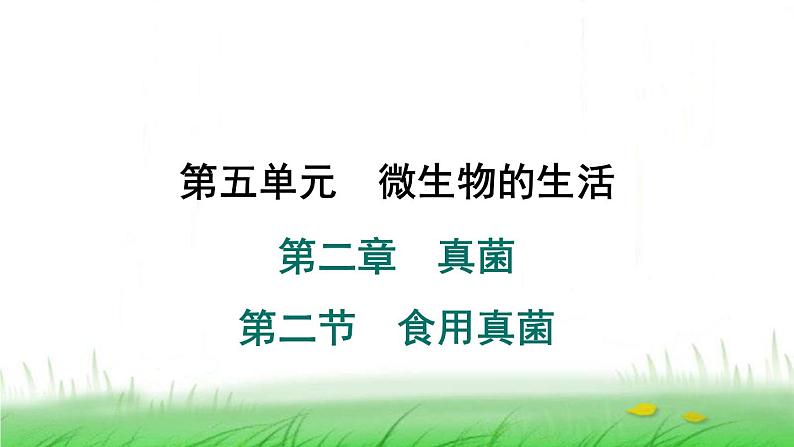 冀少版八年级生物上册第五单元第二节食用真菌课件第1页