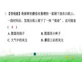 冀少版八年级生物上册第五单元第二节食用真菌课件