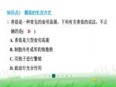 冀少版八年级生物上册第五单元第二节食用真菌课件