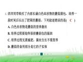 冀少版八年级生物上册第五单元第二节食用真菌课件