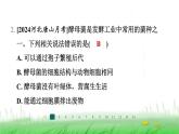 冀少版八年级生物上册第五单元第一节酵母菌和霉菌课件