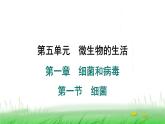 冀少版八年级生物上册第五单元第一节细菌课件