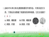 冀少版八年级生物上册第五单元第一节细菌课件