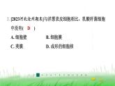 冀少版八年级生物上册第五单元第一节细菌课件