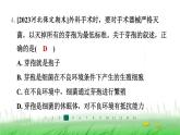冀少版八年级生物上册第五单元第一节细菌课件