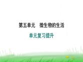 冀少版八年级生物上册第五单元复习提升课件