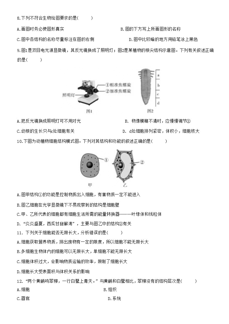 苏教版（2024新版）七年级上册生物期末学情评估模拟试卷（含答案）第2页
