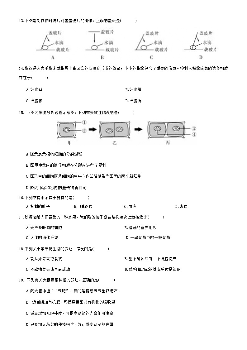 苏教版（2024新版）七年级上册生物期末学情评估模拟试卷（含答案）第3页