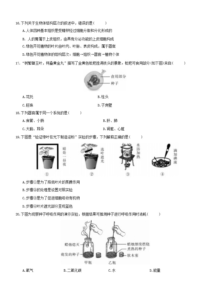 苏教版（2024新版）七年级上册生物期末学情调研模拟试卷（含答案）03