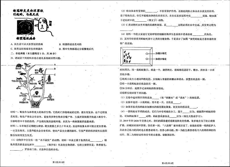 河南省南阳市淅川县第一高级中学附属学校2024-2025学年八年级上学期10月月考生物试题第3页
