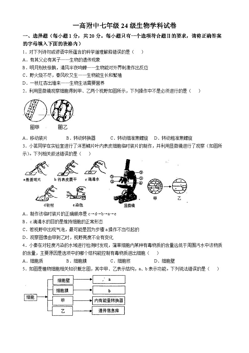 河南省南阳市淅川县第一高级中学附属学校2024-2025学年七年级上学期10月月考生物试题(无答案)第1页