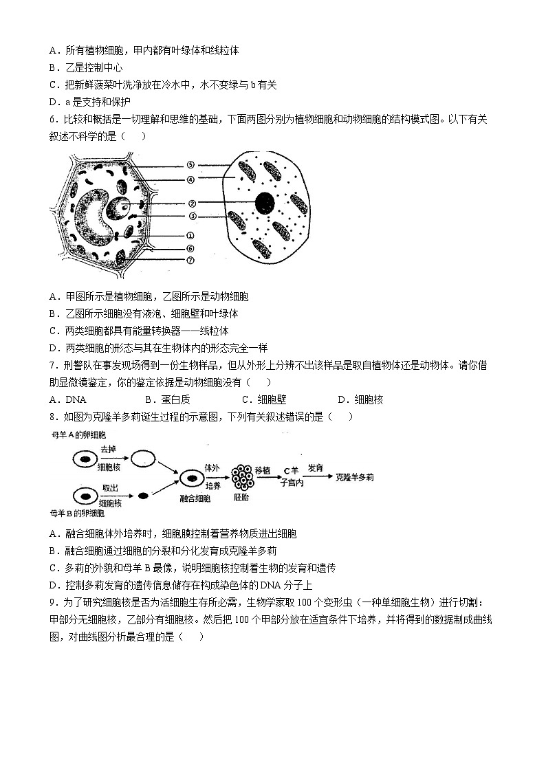 河南省南阳市淅川县第一高级中学附属学校2024-2025学年七年级上学期10月月考生物试题(无答案)第2页