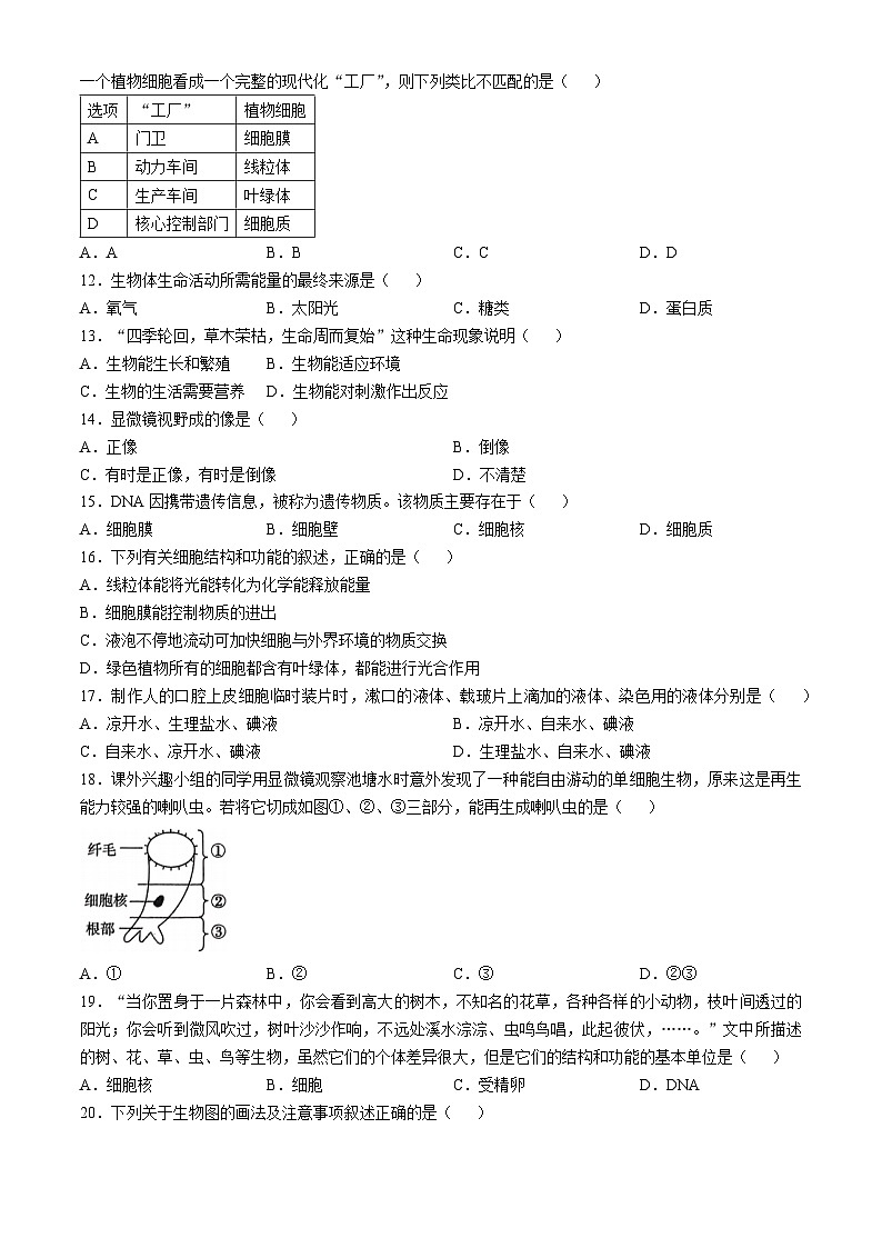 河南省周口市淮阳区2024-2025学年七年级上学期10月月考生物试题(无答案)02