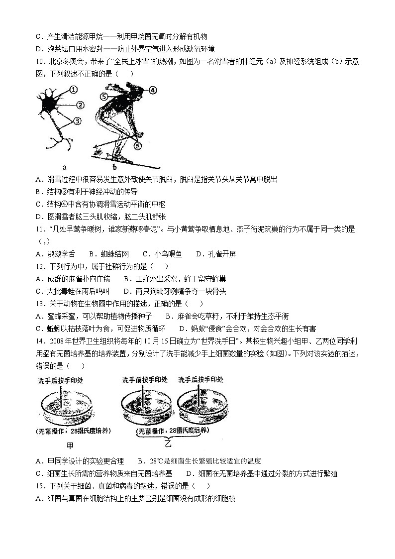 河南省南阳市淅川县第一高级中学附属学校2024-2025学年八年级上学期10月月考生物试题02