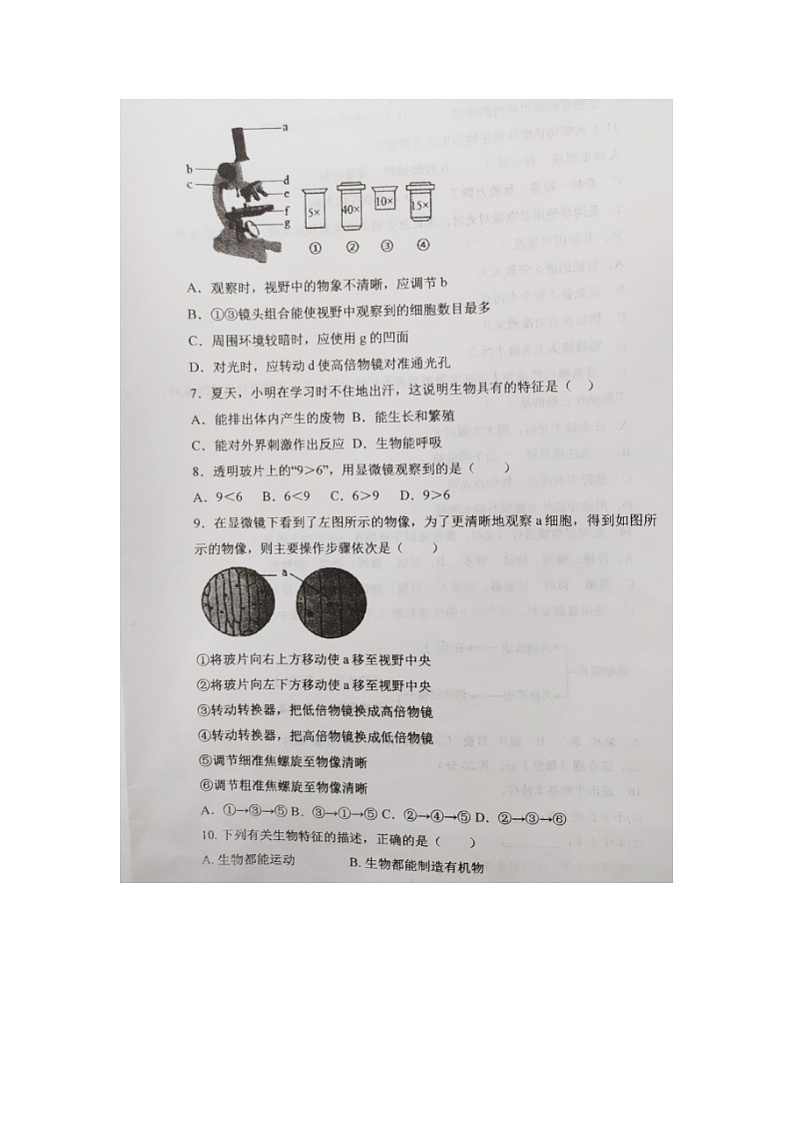 山西省大同市第三中学2024-2025学年七年级上学期第一次月考生物试题第2页