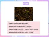 【新课标】冀少版生物八上3.1.2《种子萌发的条件》课件+教案+学案