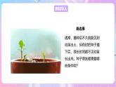 【新课标】冀少版生物八上3.1.2《种子萌发的条件》课件+教案+学案