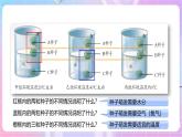 【新课标】冀少版生物八上3.1.2《种子萌发的条件》课件+教案+学案