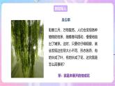 【新课标】冀少版生物八上3.1.3《芽的发育》 课件+教案+学案