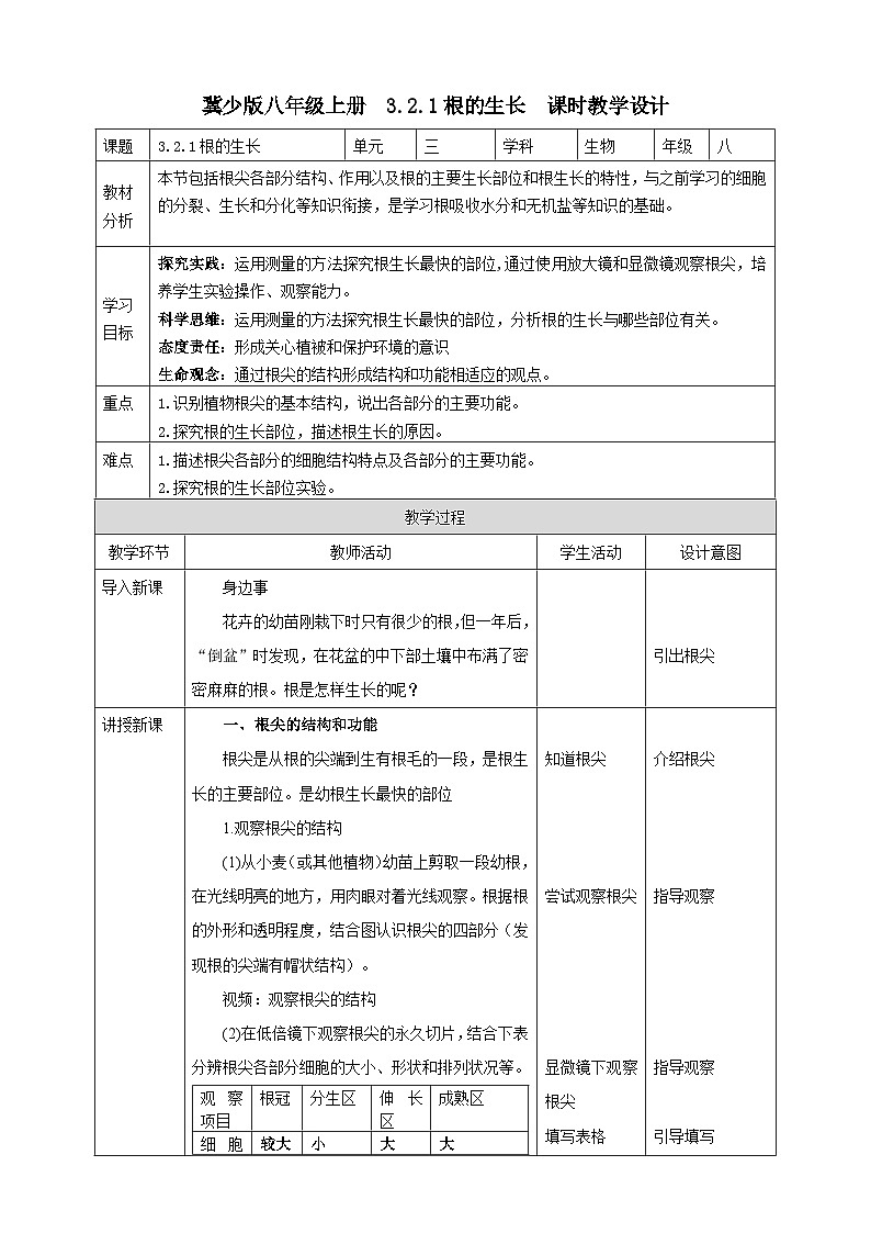 【新课标】冀少版生物八上3.2.1《根的生长》 课件+教案+学案01