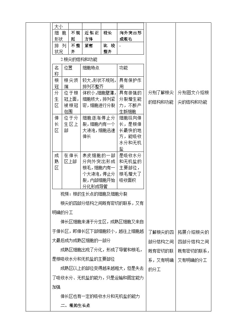 【新课标】冀少版生物八上3.2.1《根的生长》 课件+教案+学案02