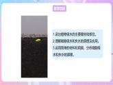 【新课标】冀少版生物八上3.2.2《根对水分的吸收》 课件+教案+学案