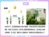 【新课标】冀少版生物八上3.2.2《根对水分的吸收》 课件+教案+学案