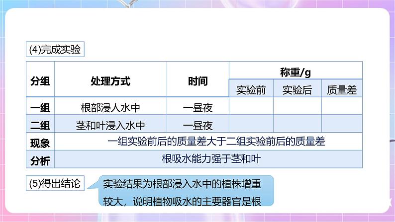 【新课标】冀少版生物八上3.2.2《根对水分的吸收》 课件第6页