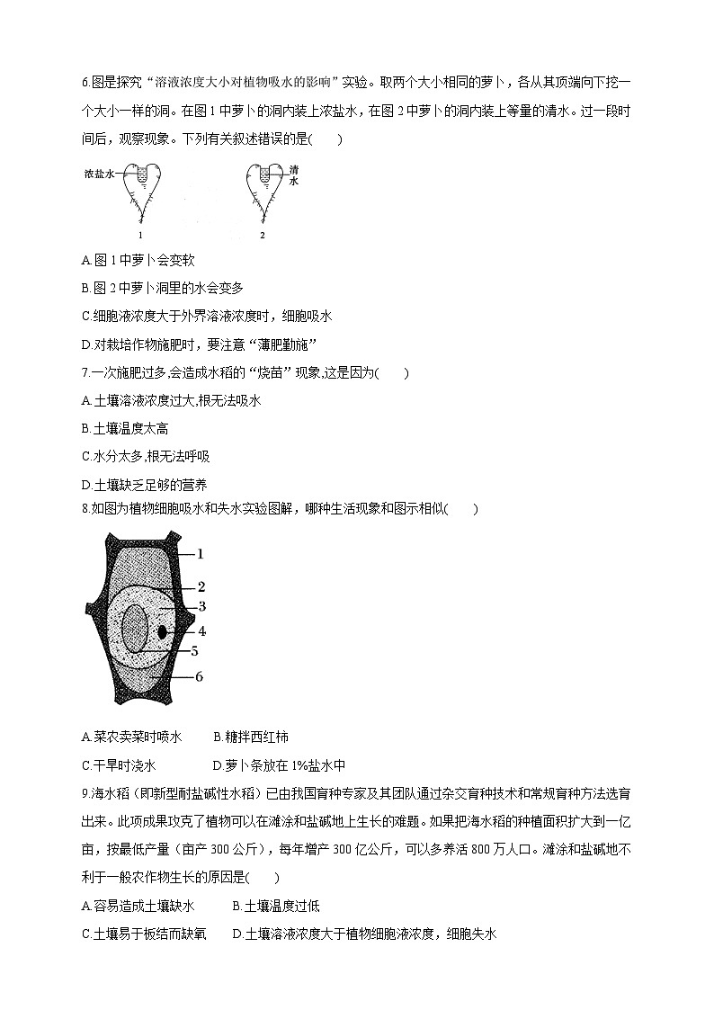 【新课标】冀少版生物八上3.2.2《根对水分的吸收》学案第3页