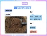 【新课标】冀少版生物八上3.2.3《无机盐与植物的生长》 课件+教案+学案