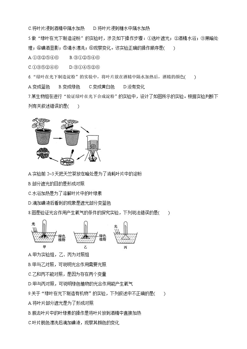 【新课标】冀少版生物八上3.3.1《光合作用的产物》课件+教案+学案03