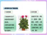 【新课标】冀少版生物八上3.3.1《光合作用的产物》课件+教案+学案