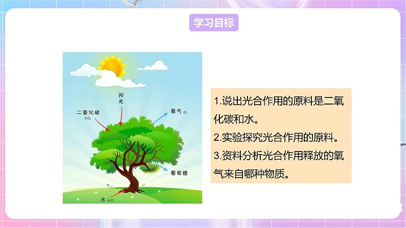 【新课标】冀少版生物八上3.3.2《光合作用的原料》课件+教案+学案02